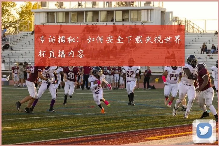 专访揭秘：如何安全下载央视世界杯直播内容