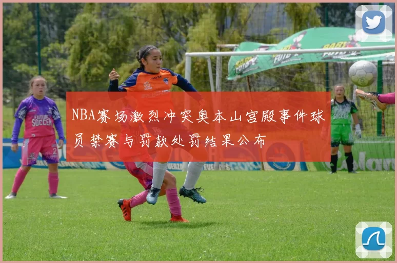 NBA赛场激烈冲突奥本山宫殿事件球员禁赛与罚款处罚结果公布
