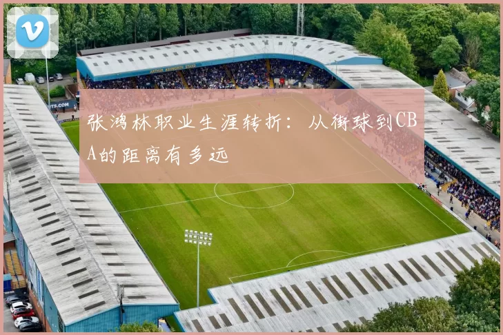 张鸿林职业生涯转折：从街球到CBA的距离有多远