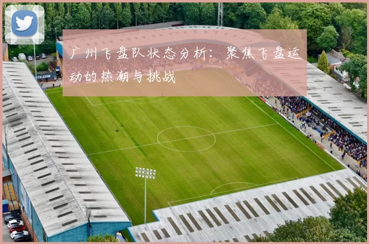 广州飞盘队状态分析：聚焦飞盘运动的热潮与挑战