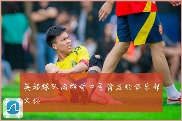 英超球队诺维奇口号背后的俱乐部文化
